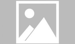 灰狼视频,探寻神秘生物的生存智慧与生态奥秘